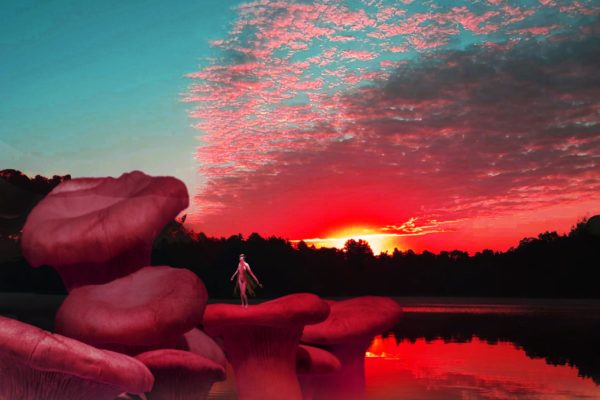 Mushroom Fairy Red Sunset Mushroom Fairy Red Sunset