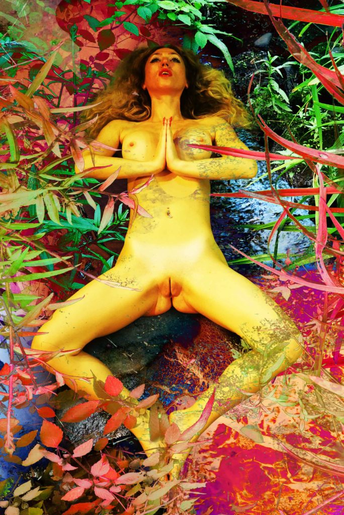 Liv Hill Psychelic Flower Bed P1760935